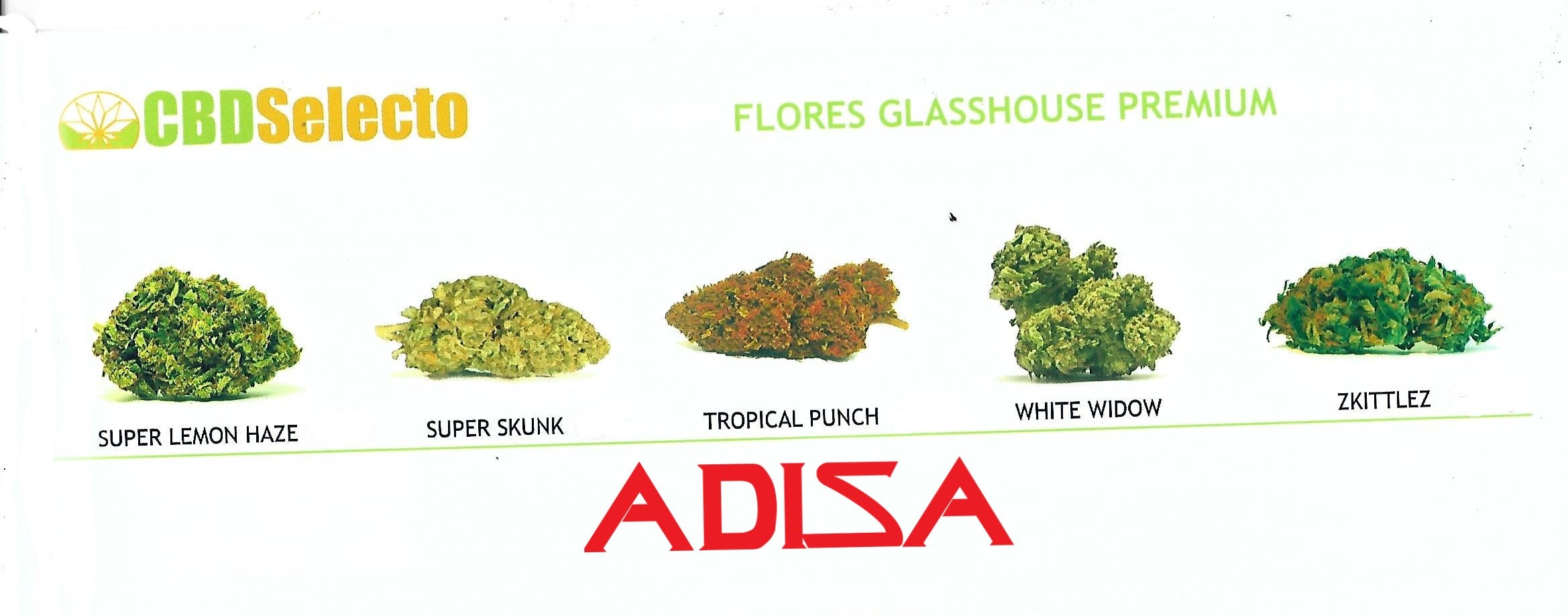 AMNESIA GOLD 5GR
