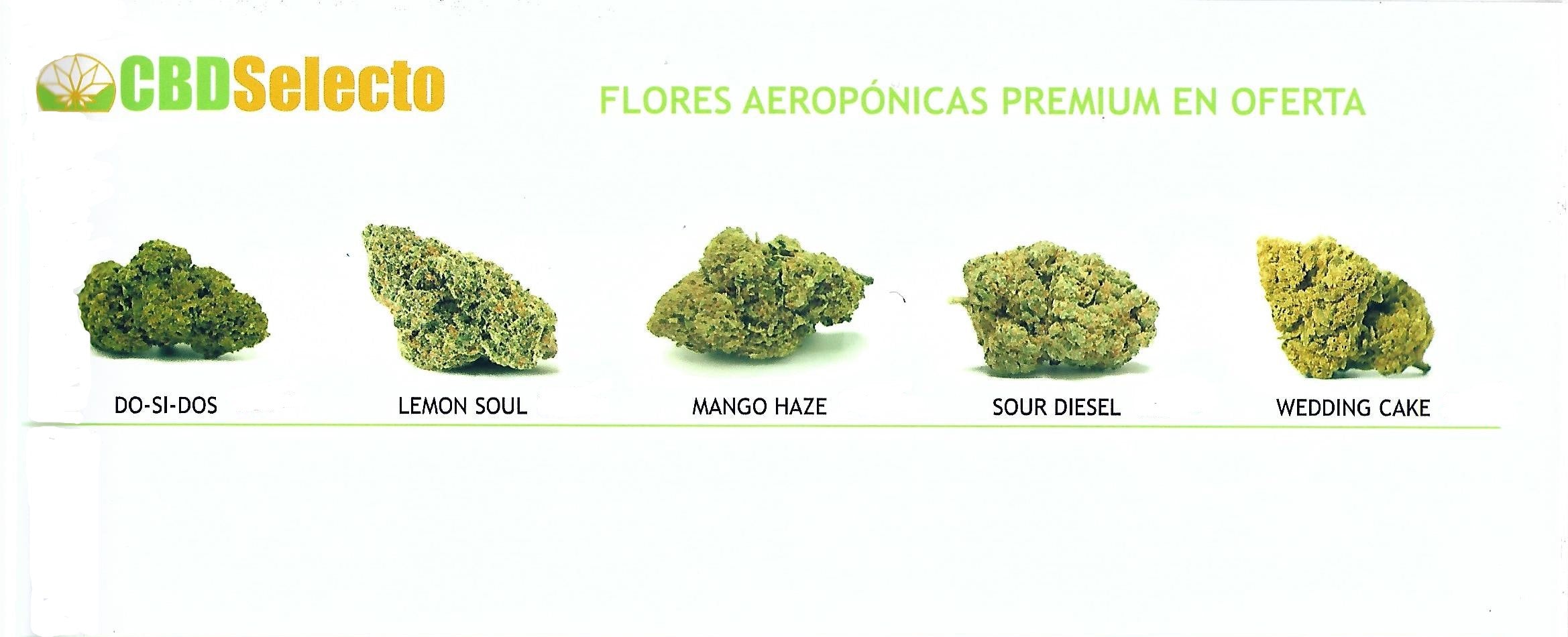 AMNESIA GOLD DE 3GR